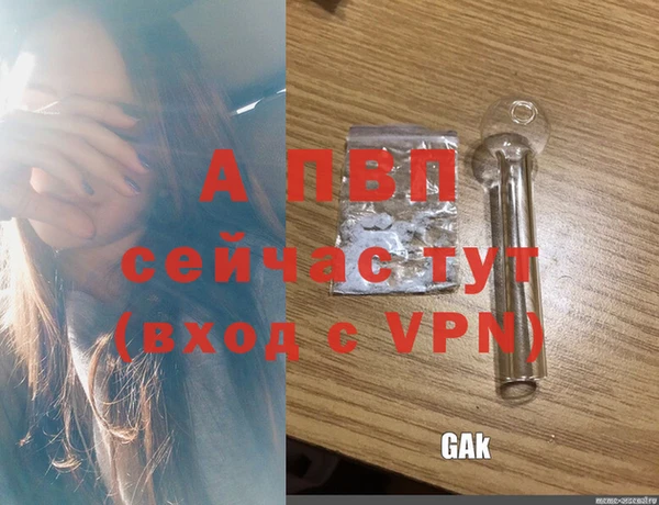 2c-b Беломорск