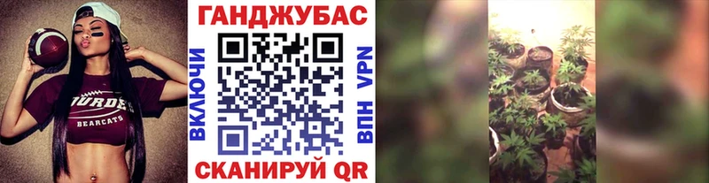 Шишки марихуана тримм  блэк спрут как зайти  дарк нет клад  Дигора 